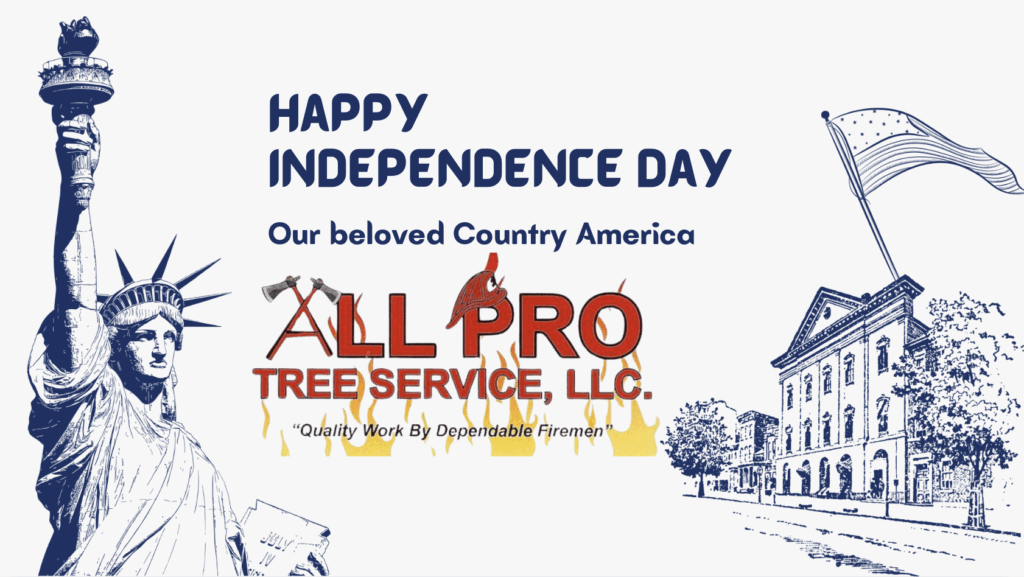 All Pro Tree Service in Shreveport Louisiana. Affordable advertising in Shreveport